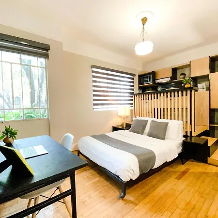 Casa Panuco Bed & Breakfast Mexico City Exterior photo