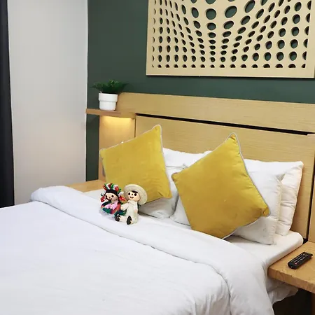 Casa Panuco Bed & Breakfast Mexico City Exterior photo